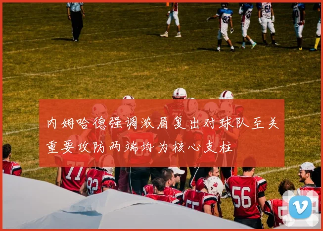 内姆哈德强调浓眉复出对球队至关重要攻防两端均为核心支柱