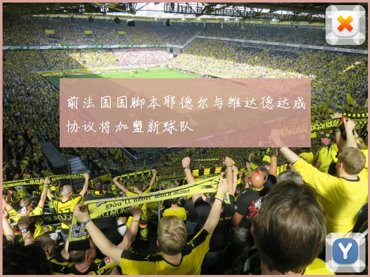 前法国国脚本耶德尔与维达德达成协议将加盟新球队