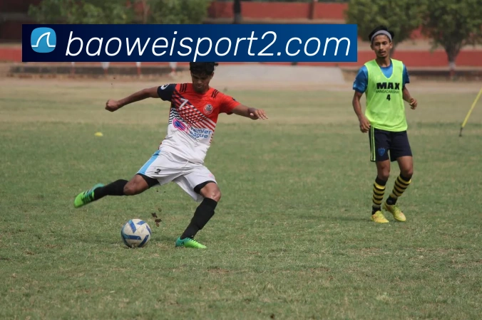 宝威体育平台生态图